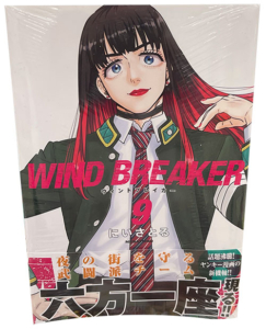 windbreaker 9巻