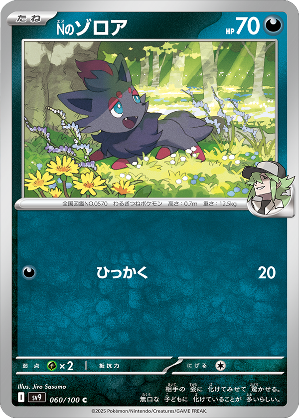 Nのゾロア C 060/100 拡張パック バトルパートナーズ ©2025 Pokémon. © 1995- 2025 Nintendo/Creatures Inc./GAME FREAK inc.