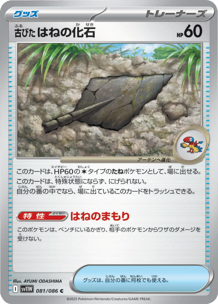 古びたはねの化石 U 081/086 拡張パック ホワイトフレア ポケモンカード©2025 Pokémon. © 1995- 2025 Nintendo/Creatures Inc./GAME FREAK inc.